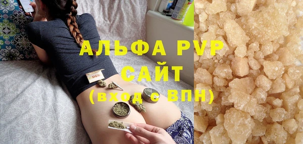 сатива Инсар