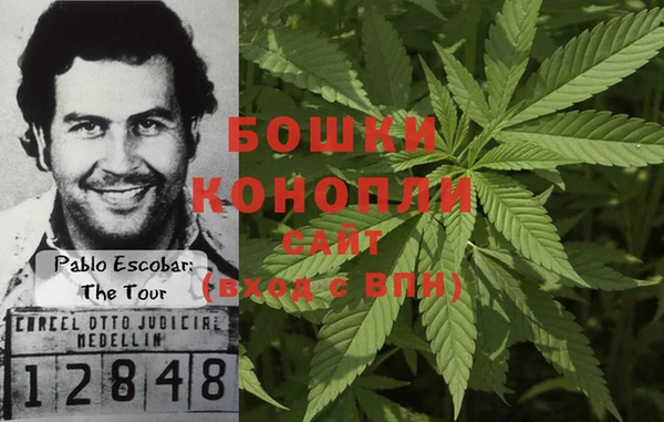 ПСИЛОЦИБИНОВЫЕ ГРИБЫ Зерноград